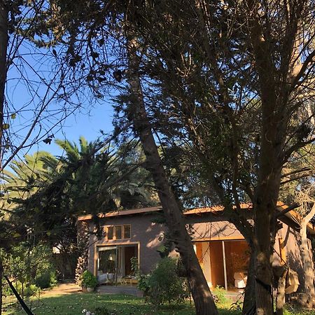 Cabaña en la naturaleza a pasos de la Playa La Serena Habitación foto