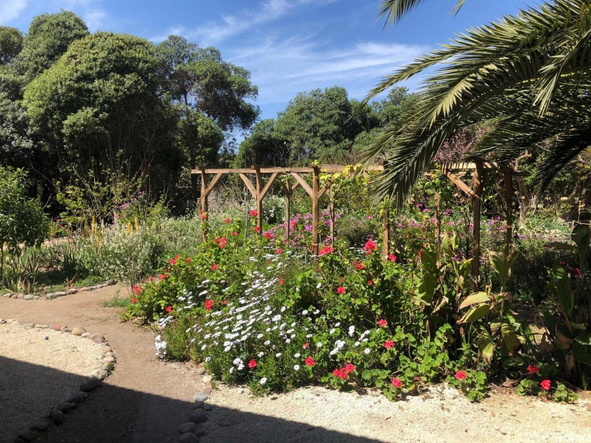 Cabaña en la naturaleza a pasos de la Playa La Serena Exterior foto